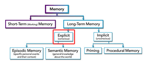 declarative memory examples