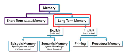 Different types of long term memory